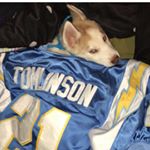 Profile Picture of John  Hornsby (@johnhornsby2) on Instagram