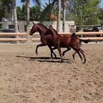 Profile Picture of JoePena123 (@joepena4216) on Instagram