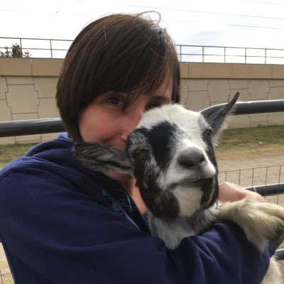 Profile Picture of Stephanie Husman (@HusmanStephanie) on Twitter