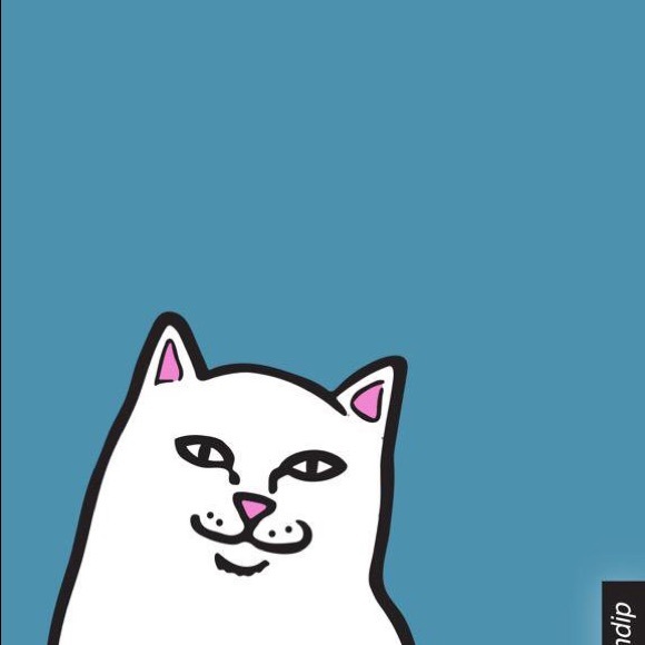 Profile Picture of Dasha Coey (@lordnermal) on Poshmark