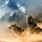 Profile Picture of Shane Mortimer (@shane.mortimer.12) on Instagram
