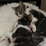 Profile Picture of Caryn Bielski (@caryn.bielski) on Facebook