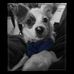 Profile Picture of Heather LeShee' Hildreth (@heather.hildreth1) on Facebook