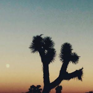 Profile Picture of Gregory.pizza (@gregory.pizza) on Tiktok