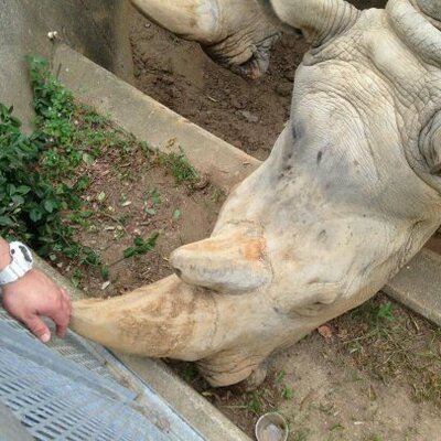 Profile Picture of Kyle Smith (@BroadRippleKyle) on Twitter