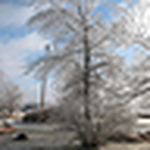 Profile Picture of Kim Thompson (@kimmyree) on Flickr