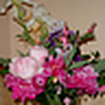 Profile Picture of Deanna Read Noonan (@Deanna Read Noonan) on Flickr