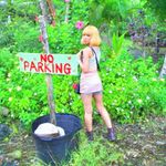 Profile Picture of Lisa Okamoto (@lisapoyo) on Instagram