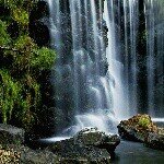 Profile Picture of kristina schramm (@krisicool) on Instagram