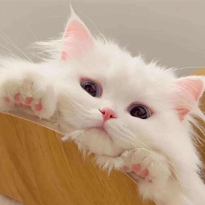 Profile Picture of Larry Lind (@larry.lind) on Tiktok