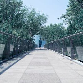 Profile Picture of 单引 (@_dan_Yin) on Twitter