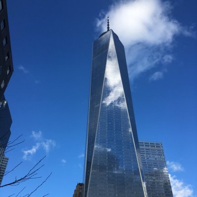 Profile Picture of TommyH (@TommyHerring) on Twitter