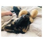 Profile Picture of Jay Corrigan (@jaymc89) on Instagram