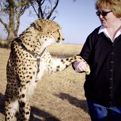 Profile Picture of Molly McGee Hewitt, PhD (@mollylovescasbo) on Twitter