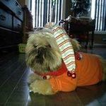 Profile Picture of André Migneault (@andremigneault2556) on Instagram