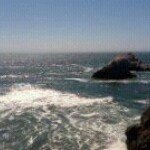 Profile Picture of Lori Tillman (@mamatillman) on Instagram