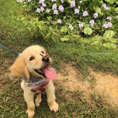 Profile Picture of Joe Snowden (@joesnowden1) on Twitter