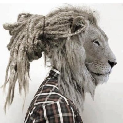 Profile Picture of Richard Sala (@Rich_Sala) on Twitter