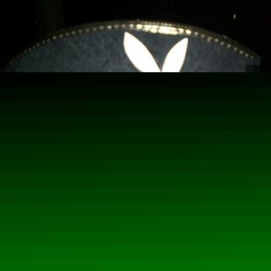 Profile Picture of Fernando Cespedes (@189492084) on Myspace