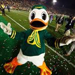 Profile Picture of David Ricketts (@richarddavidson) on Instagram