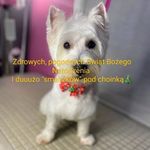 Profile Picture of Aneta Gralewska (@anetagralewska) on Instagram