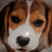 Profile Picture of Jeff Eichman (@jeffeichman9568) on Youtube