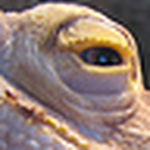 John Harmon - Flickr Profile Picture of John Harmon (@jiantster) on Flickr