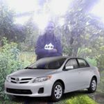 Profile Picture of Kim Dwight (@kimdwight7) on Instagram