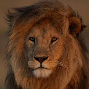 Profile Picture of Alex Varona (@alexvarona6887) on Youtube