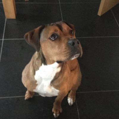 Profile Picture of John Meredith (@johnmeredith537) on Twitter