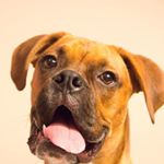 Profile Picture of Porter (@porter.pants) on Instagram