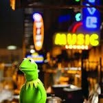 Profile Picture of ARTHUR KERMIT (@arthurkermit) on Instagram