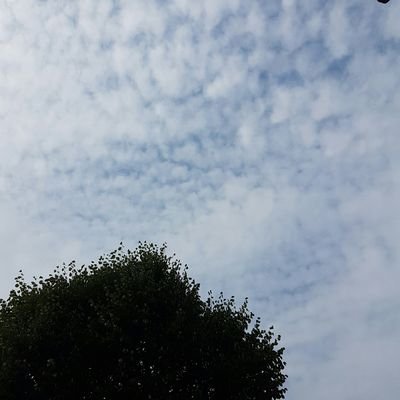 Profile Picture of Leah  🤘 (@Selman_Jara_Bri) on Twitter