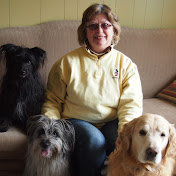 Profile Picture of Debra Huff (@Scentsabledogs) on Youtube