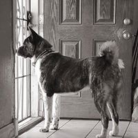 Profile Picture of Wes Womack (@wes-womack-1) on Quora