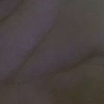 Profile Picture of Brian Herety (@golly953) on Instagram