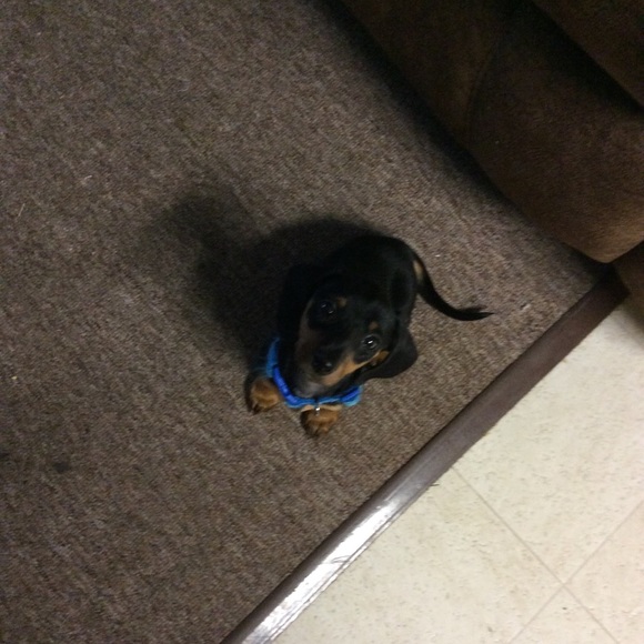 Peggy Bohlmann - Poshmark Profile Picture of Peggy Bohlmann (@bohlmann) on Poshmark