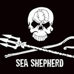 Profile Picture of Patrick Marceau (@patrick_marceau) on Instagram