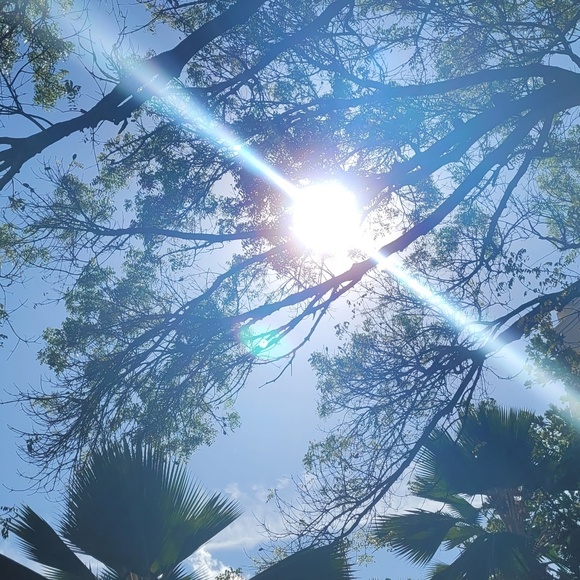 Profile Picture of Isabel Rosado (@pinkyros) on Poshmark