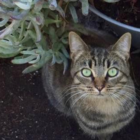 Profile Picture of Pamela Young-hosey (@pamelahosey) on Poshmark