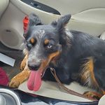 Joel Frakes - Instagram Profile Picture of Joel Frakes (@joefrake1) on Instagram