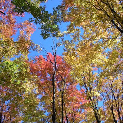 Profile Picture of Kevin Jing Qiu (@kevinjqiu) on Twitter