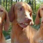 Profile Picture of David Eriksson (@dasken2000) on Instagram