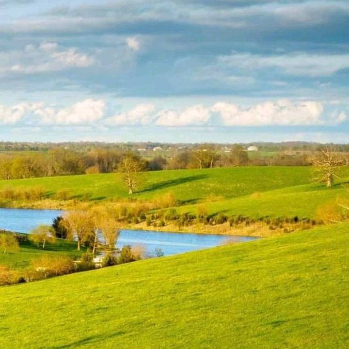 Profile Picture of Wilfredo Alvarez (@wilfredo.alvarez) on Tiktok