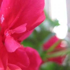 Profile Picture of Nina Domingo (@ninajean) on Myspace