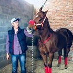 Profile Picture of Mario Gomez Govea (@___mariog___) on Instagram