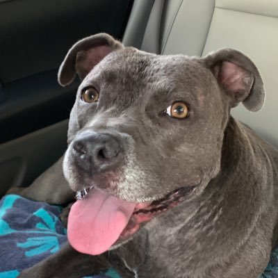Profile Picture of XeyeldinTX (@Katl1964) on Twitter