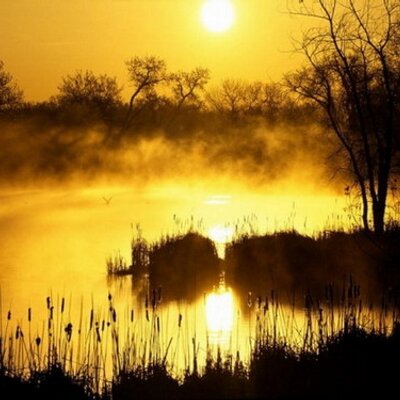 Profile Picture of Keith E. Teague (@KeithETeague) on Twitter