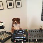 Profile Picture of 김지유 (@gyalfieri215) on Instagram