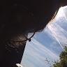 Profile Picture of Jeanne Auger (@@jehane_gr_pv) on Tiktok